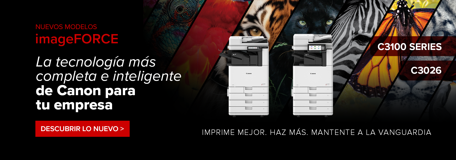 https://canon.com.mx/impresoras-y-multifuncionales-empresas-inteligentes/